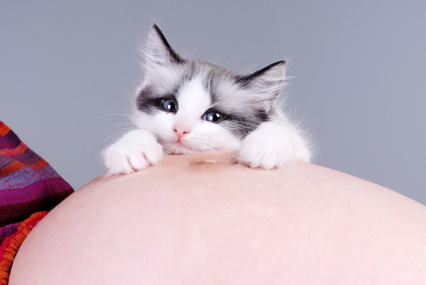 Schwangere Frau mit Katze