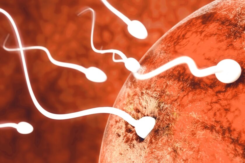 Viele Spermien auf dem Weg die Eizelle zu befruchten